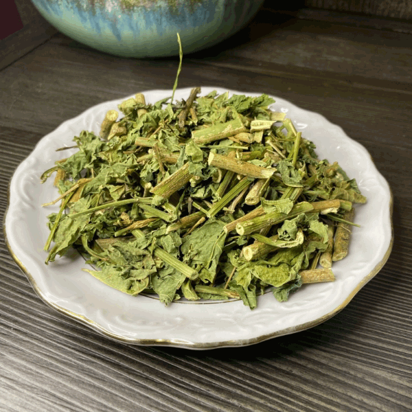 Guinea Hen Weed (Anamu) dried herb used for traditional wellness tea