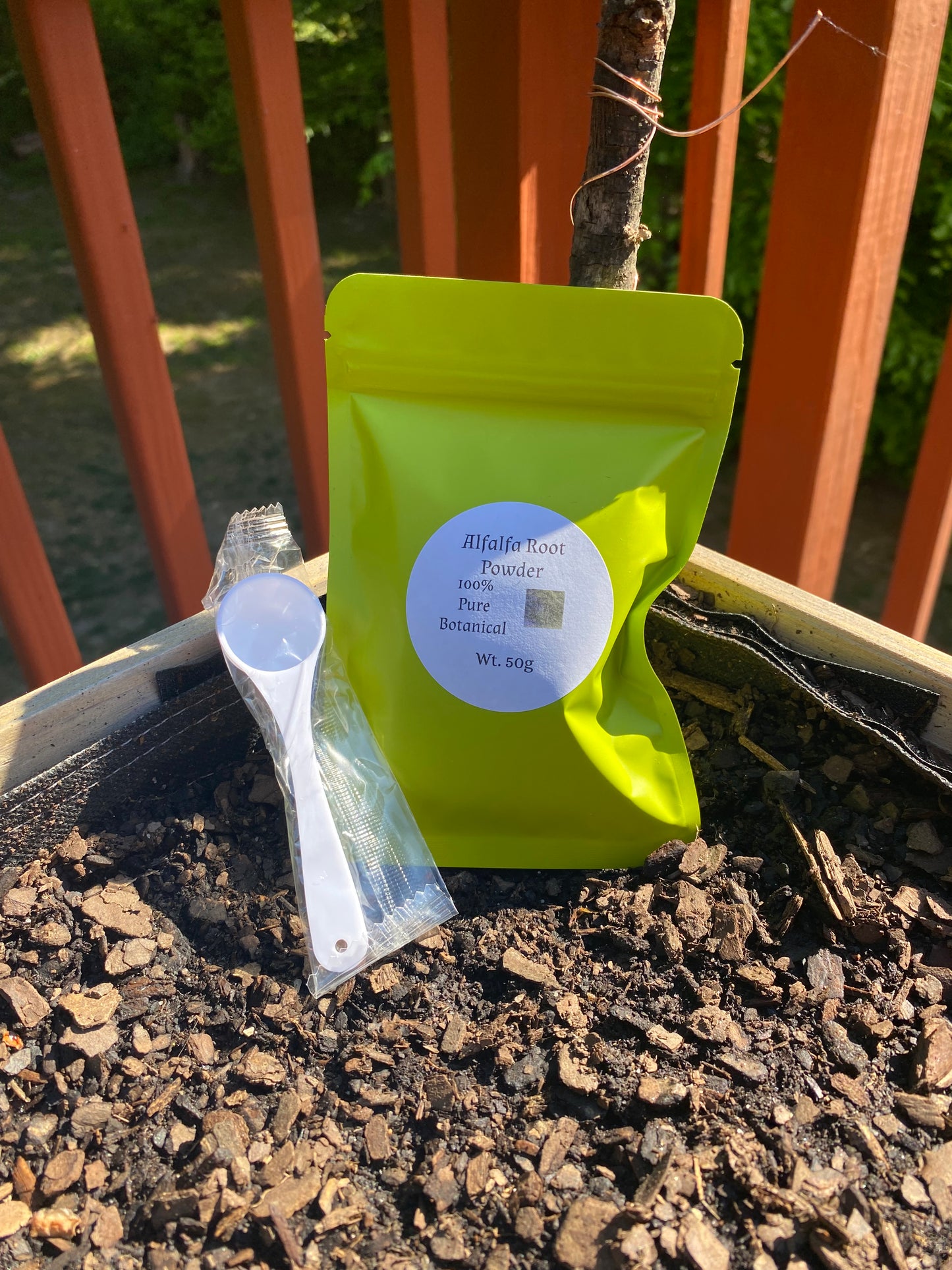 Premium Alfalfa Root Powder - Pure Botanical Herb